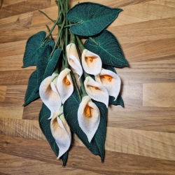 Stickdatei "FSL - 3D-Calla" --- Design Pack