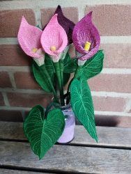 Stickdatei "FSL - 3D-Calla" --- Design Pack