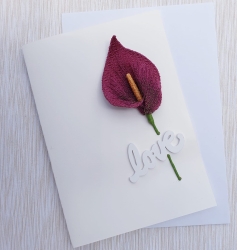 Stickdatei "FSL - 3D-Calla" --- Design Pack
