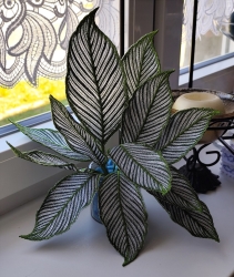 Stickdatei "FSL - 3D-Grünpflanze Maranta_Vittata" --- Design Pack