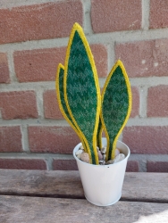 Stickdatei "FSL - 3D-Grünpflanze Sansevieria" --- Design Pack