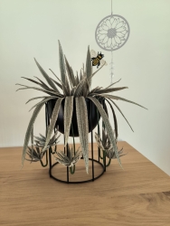 Stickdatei "FSL - 3D-Grünpflanze Chlorophytum-Gruenlilie" --- Design Pack