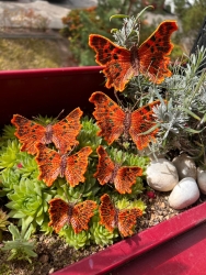 Stickdatei "FSL - Schmetterling C-Falter - Polygonia c-album" --- ca. 140 mm
