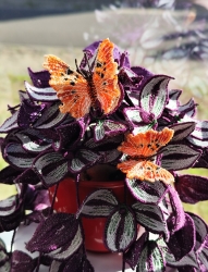 Stickdatei "FSL - Schmetterling C-Falter - Polygonia c-album" --- ca. 80 mm