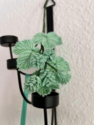 Stickdatei "FSL - Hopfen-3D" --- Design Pack