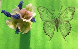 LineArt - "Schmetterling" --- SUPER-Set