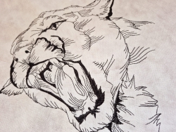 LineArt - "Lion" (240x240 mm) --- Set