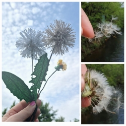 Stickdatei "FSL - 3D-Pusteblume" --- Design Pack