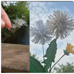 Stickdatei "FSL - 3D-Pusteblume" --- Design Pack