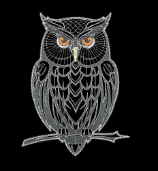 LineArt - "Eule" (150x200 und 200x260 mm) --- Set