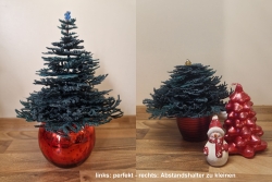 FSL "3D-Tannenbaum-2" - Design Pack