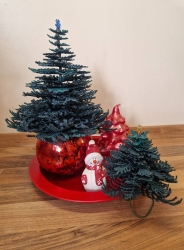 FSL "3D-Tannenbaum-2" - Design Pack