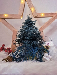 FSL "3D-Tannenbaum-2" - Zusatzmodul