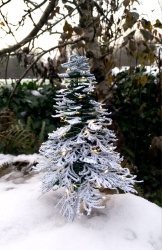 FSL "3D-Tannenbaum-2a" - Design Pack