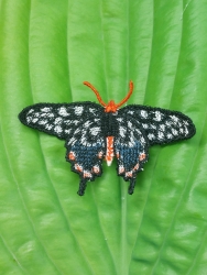 Stickdatei "FSL & ITH- Schmetterling Madagassischer Riesenschwalbenschwanz" --- Design Pack
