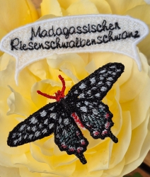 Stickdatei "FSL & ITH- Schmetterling Madagassischer Riesenschwalbenschwanz" --- Design Pack
