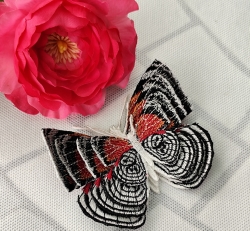 Stickdatei "FSL - Schmetterling Annas 88 (Diaethria anna)" --- Design Pack