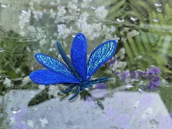 Stickdatei "FSL & ITH - Libelle-Blauflügel-Prachtlibelle (Calopteryx splendens)" --- Design Pack