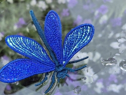 Stickdatei "FSL & ITH - Libelle-Blauflügel-Prachtlibelle (Calopteryx splendens)" --- Design Pack