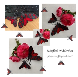 Stickdatei "FSL & ITH - Schmetterling Sechsfleck_Widderchen (Zygaena_filipendulae)" --- Design Pack