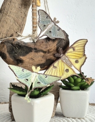Stickdatei "FSL - Schmetterling Mondmotte (Actias luna)" --- Design Pack