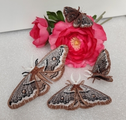 Stickdatei "FSL & ITH - Schmetterling Kleines Nachtpfauenauge (Saturnia pavonia)" --- Design Pack