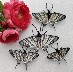 Stickdatei "FSL & ITH - Schmetterling Segelfalter (Iphiclides podalirius)" --- Design Pack