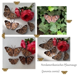 Stickdatei "FSL & ITH - Schmetterling Nordamerikanisches Pfauenauge (Junonia coenia)" --- Design Pack