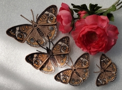 Stickdatei "FSL & ITH - Schmetterling Nordamerikanisches Pfauenauge (Junonia coenia)" --- Design Pack