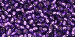10 g TOHO Seed Beads 11/0 TR-11-2224 - Silver-Lined Purple - (A,B,D)