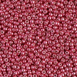 5 g Miyuki Seed Beads 11/0 - DURACOAT - 11-4211