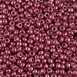 5 g Miyuki Seed Beads 08/0 - DURACOAT - 08-4219