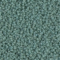 5 Gramm Miyuki Seed Beads 15-2028