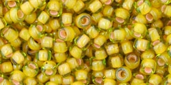 10 g TOHO SeedBeads 8/0 TR-08-0302