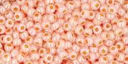 10 g TOHO Seed Beads 11/0 TR-11-0904 - Ceylon Apricot (E)