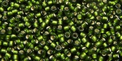 5g TOHO SeedBeads 15/0 TR-15-0037 F