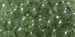 #22 50 Stück Perlen rund - tr. chrystal olivecoating - Ø 4 mm