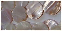 1 Perlmuttscheibe rund - Ø ca. 23 mm, weiß