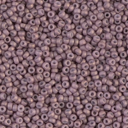 10 Gramm Miyuki Seed Beads 11-2034