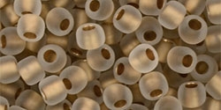 10 g TOHO Seed Beads 6/0  TR-06-0989 F
