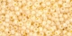 10 g TOHO Seed Beads 11/0 TR-11-0903 - Ceylon Custard (E)