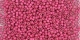 5g TOHO SeedBeads 15/0 TR-15-PF563 F
