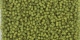 5g TOHO SeedBeads 15/0 TR-15-0246 F