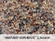 #005a 10g SuperDuo-Beads black diamond semi bronze luster