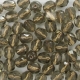 #08.02 25 Stück - 6,0 mm Glasschliffperlen - Smoke Topaz Bronze