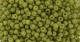 10 g TOHO Seed Beads 11/0 TR-11-2601 F - Semi Glazed - Olive (C)