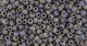 10 g TOHO Seed Beads 11/0 TR-11-2638 F - Semi Glazed Rainbow - Lavender (C)