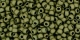 10 g TOHO Seed Beads 11/0 TR-11-0617 - Matte-Color Dark Olive (C)