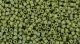 5g TOHO SeedBeads 15/0 TR-15-2632 F