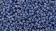 5g TOHO SeedBeads 15/0 TR-15-2636 F